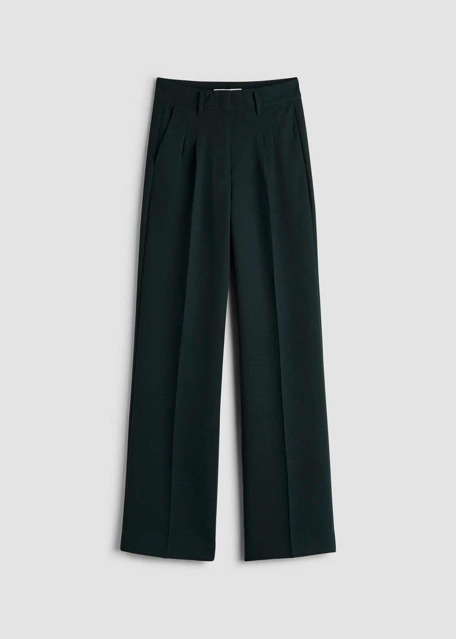 Pleated WIDE Leg Dress Pants for Tall Women