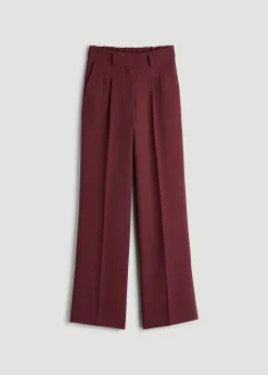 Wide Leg Pleated Dress Pants 2.0 for Tall Women